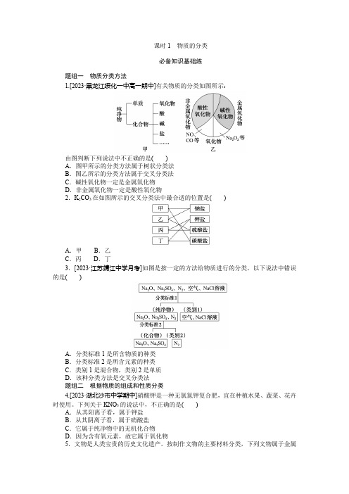 2024-2025年人教版化学必修第一册物质的分类及转化-物质的分类 基础练习与综合提升(带答案)