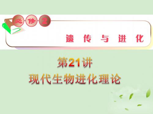 习题现代生物进化理论课件 新人教版必修2