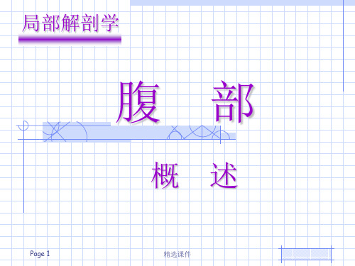 局部解剖学腹部