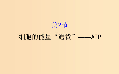 高中生物 第五章 细胞的能量供应和利用 第二节 细胞的能量“通货”—ATP 5.2 新人教版必修1