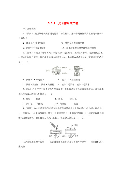 八年级生物上册 3.3.1 光合作用的产物同步练习 (新版)冀教版