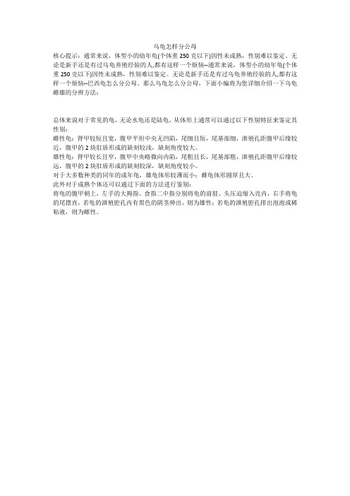 乌龟怎样分公母