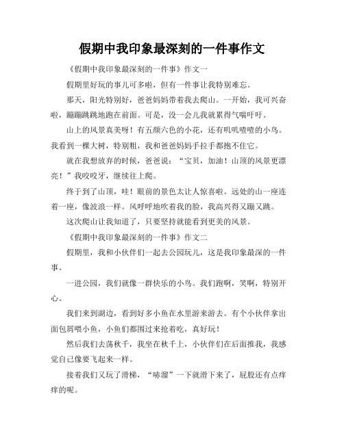 假期中我印象最深刻的一件事作文