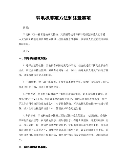 羽毛枫养殖方法和注意事项