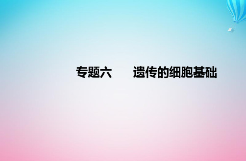 2024届高考生物学业水平测试复习专题六遗传的细胞基次件