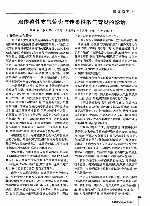 鸡传染性支气管炎与传染性喉气管炎的诊治