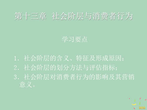 [精选]社会阶层与消费者行为讲解