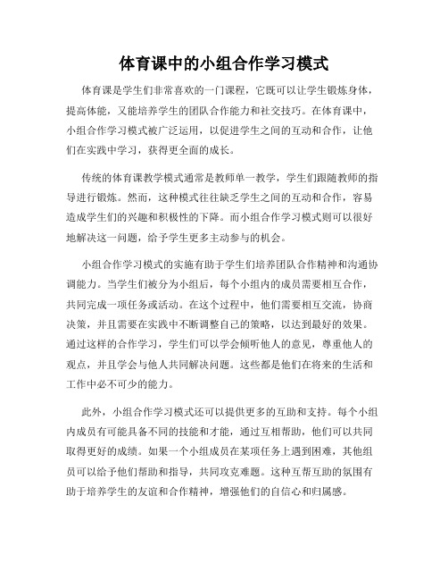 体育课中的小组合作学习模式