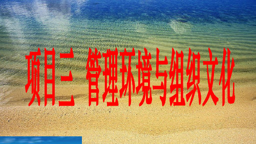 管理环境与组织文化概述(PPT 48页)