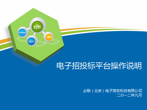 中国国际招标网-电子招投标平台操作培训 共27页PPT资料