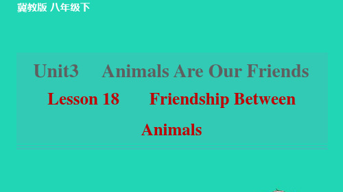 八年级英语下册Unit3Lesson18FriendshipBetweenAnimals新版冀教版