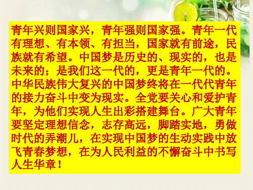 人教版 道德与法治 九年级上册 8.2 共圆中国梦  课件 (25张幻灯片)