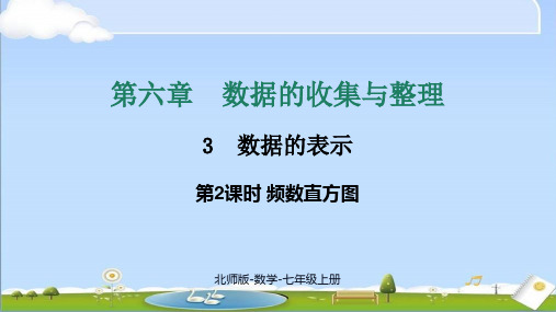 2024年新北师大版七年级上册数学教学课件 第六章 6.3 第2课时 频数直方图