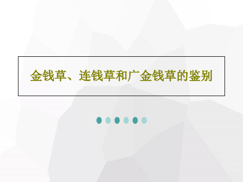 金钱草、连钱草和广金钱草的鉴别共41页文档