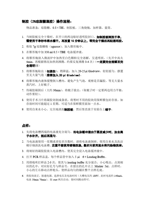 DNA凝胶制备及点样操作流程