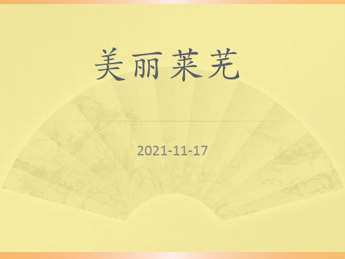 介绍莱芜的ppt幻灯片