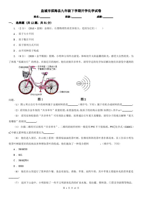 盐城市滨海县九年级下学期开学化学试卷