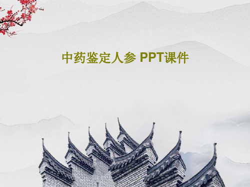 中药鉴定人参 PPT课件PPT27页