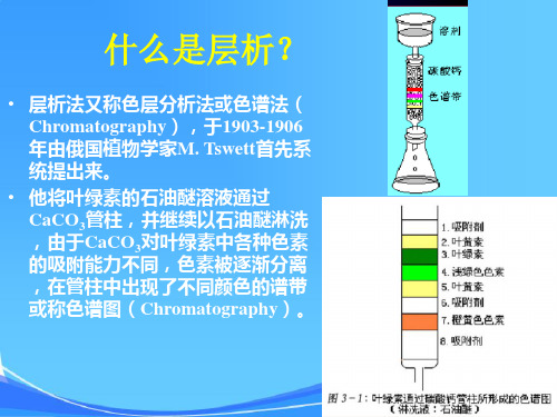 实验 血红蛋白与核黄素的凝胶层析分离