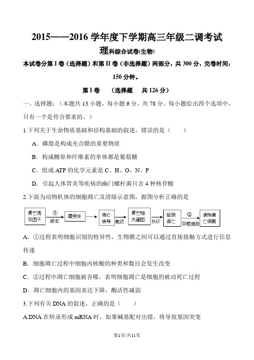 河北省衡水中学2016届高三下学期二调考试理综生物试题