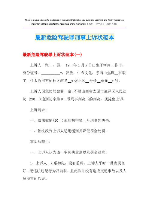 最新危险驾驶罪刑事上诉状范本