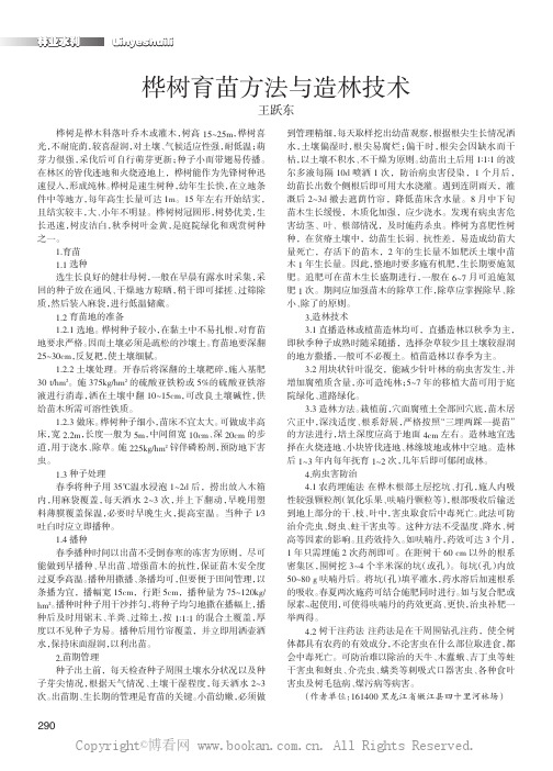 桦树育苗方法与造林技术