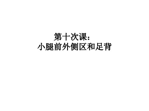 小腿前外侧区和足背