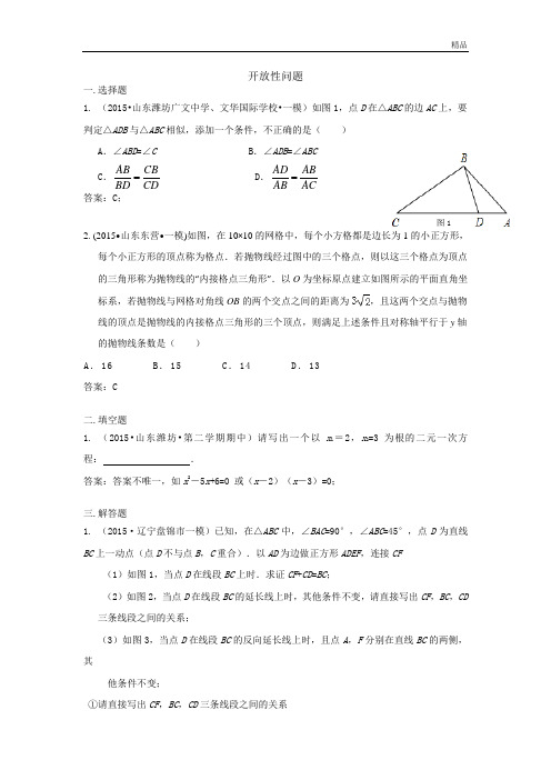 2015年全国各地中考数学模拟试卷精选汇编：开放性问题