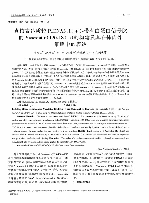 真核表达质粒PcDNA3.1(+)-带有白蛋白信号肽的Vasostatin(120-180aa)的构建及其在体内外细胞中的表