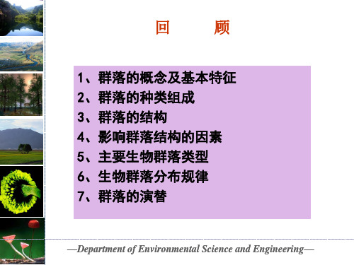 生态系统生态学