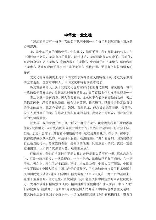 《传承龙文化  弘扬龙精神》 (4)