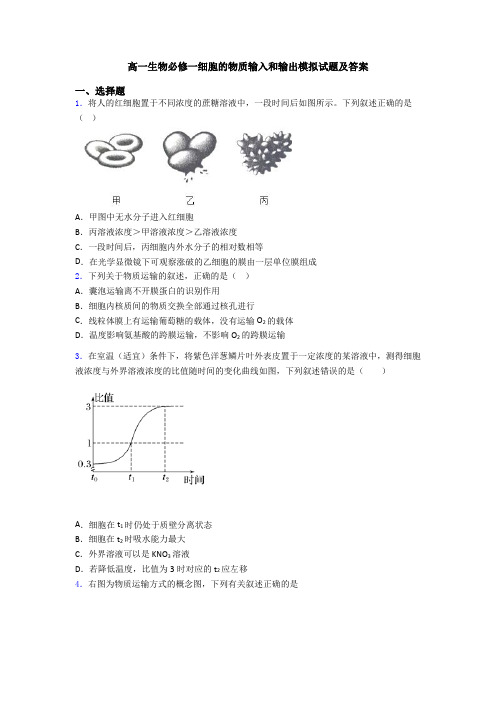 高一生物必修一细胞的物质输入和输出模拟试题及答案