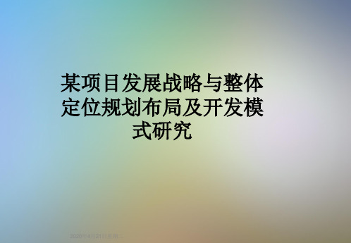 某项目发展战略与整体定位规划布局及开发模式研究