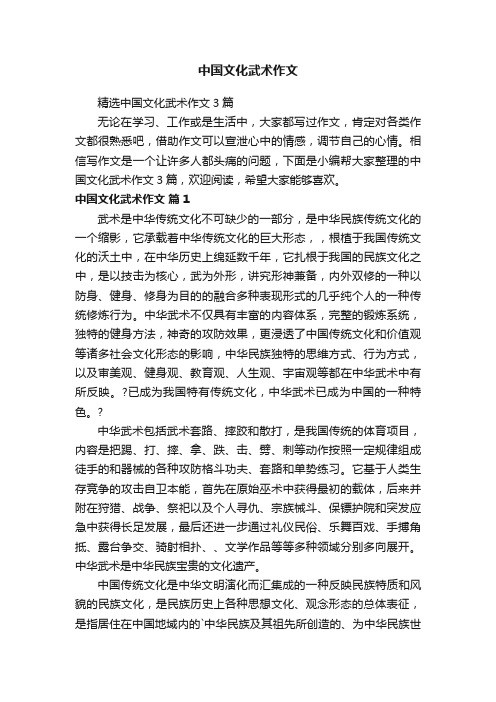 精选中国文化武术作文3篇