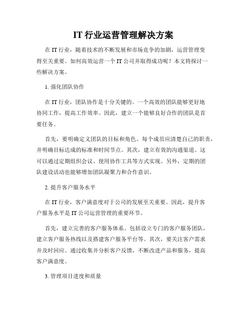 IT行业运营管理解决方案