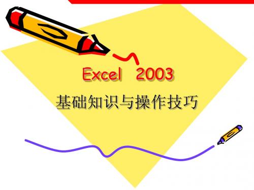 Excel_2003常用操作及使用技巧