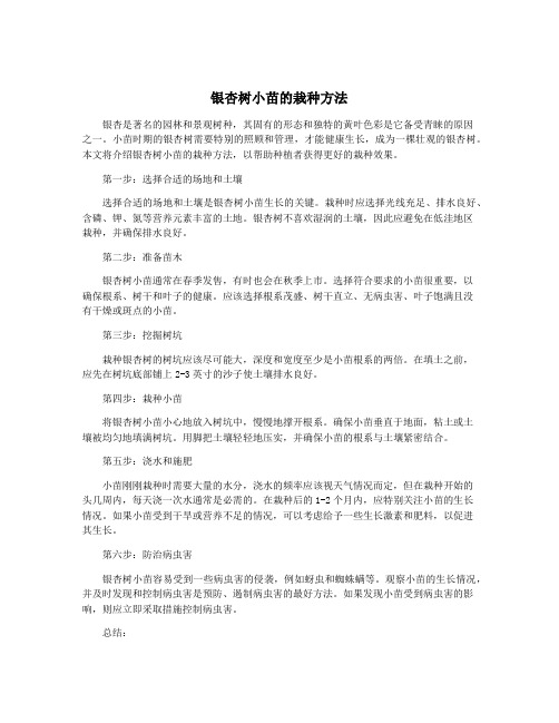 银杏树小苗的栽种方法