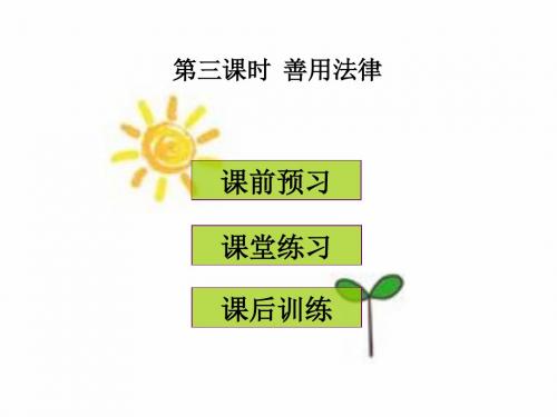 最新人教版八年级道德与法治上册课件_第五课 第三课时  善用法律 (共27张PPT)