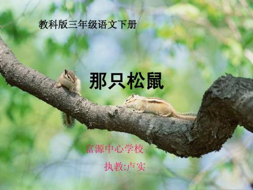 《那只松鼠》课件(湘教版四年级上册语文课件)