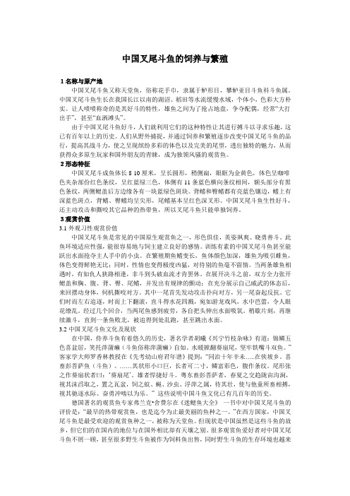 中国叉尾斗鱼的饲养与繁殖