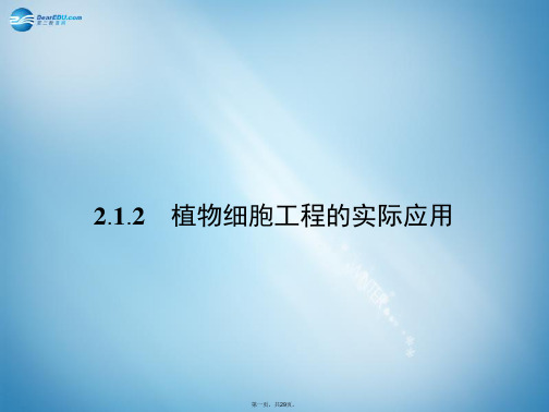 高中生物 2.1.2 植物细胞工程的实际应用课件 新人教版选修3[1]