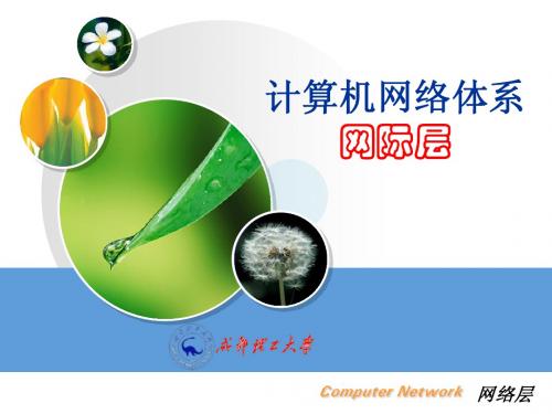 CH4网络层