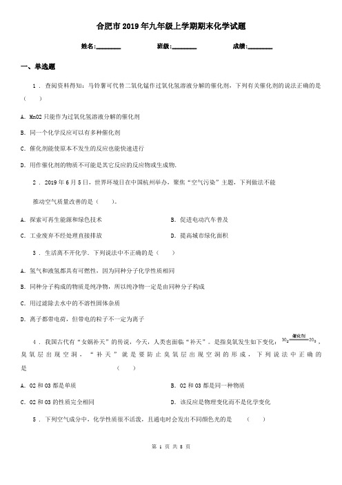 合肥市2019年九年级上学期期末化学试题新版
