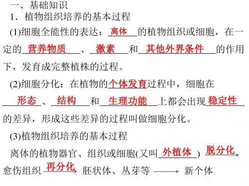 人教版高中生物选修一专题3课题1《菊花的组织培养》 课件 (共66张PPT)