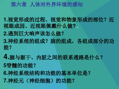 初中生物课件-人体生命活动的调节 最新