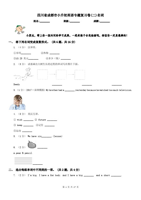 四川省成都市小升初英语专题复习卷(二)名词