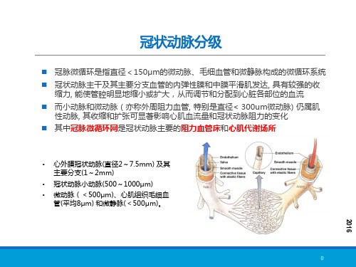 冠脉微血管病变-精选文档