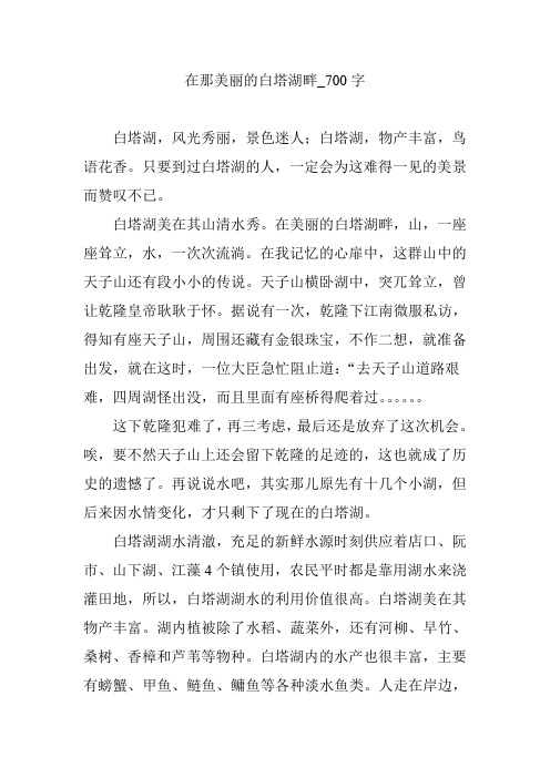 在那美丽的白塔湖畔_700字