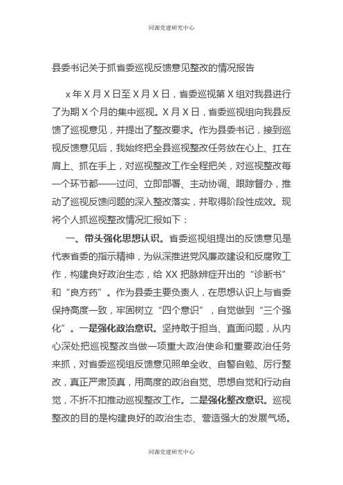 县委书记关于抓省委巡视反馈意见整改的情况报告