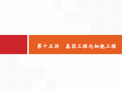 高考生物二轮复习专题课件:专题六 生物工程与技术 15
